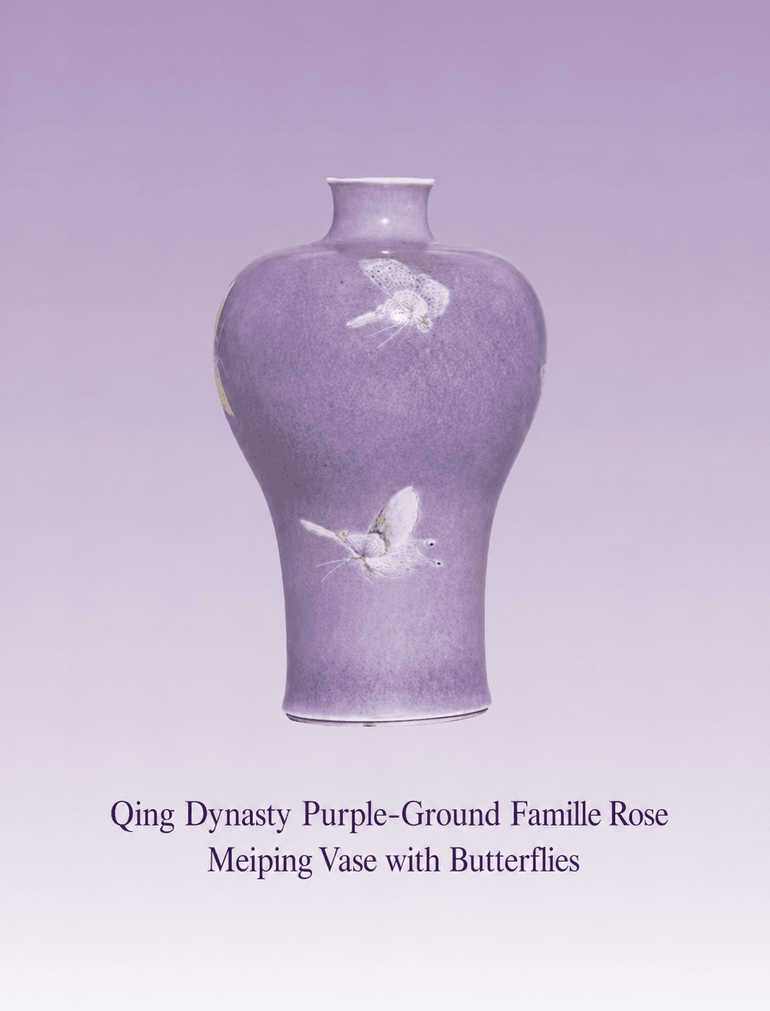 Antique Porcelain No. 4: Qing Dynasty Purple-Ground Famille Rose Meiping Vase with Butterflies